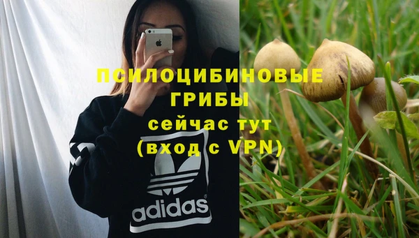 a pvp Алексин