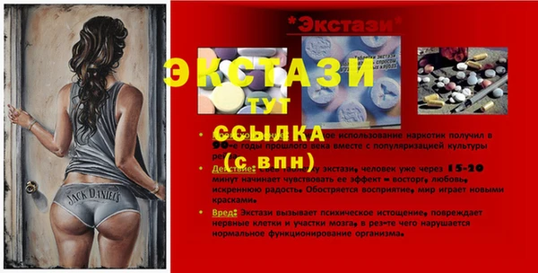 индика Михайловск
