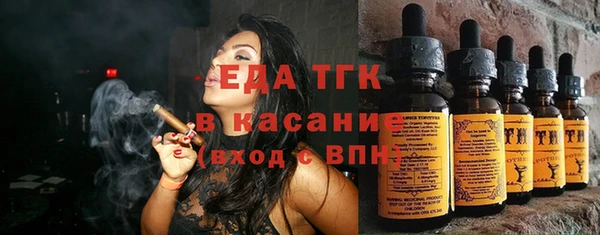 индика Михайловск