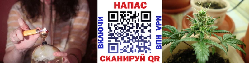 Бошки марихуана OG Kush Махачкала